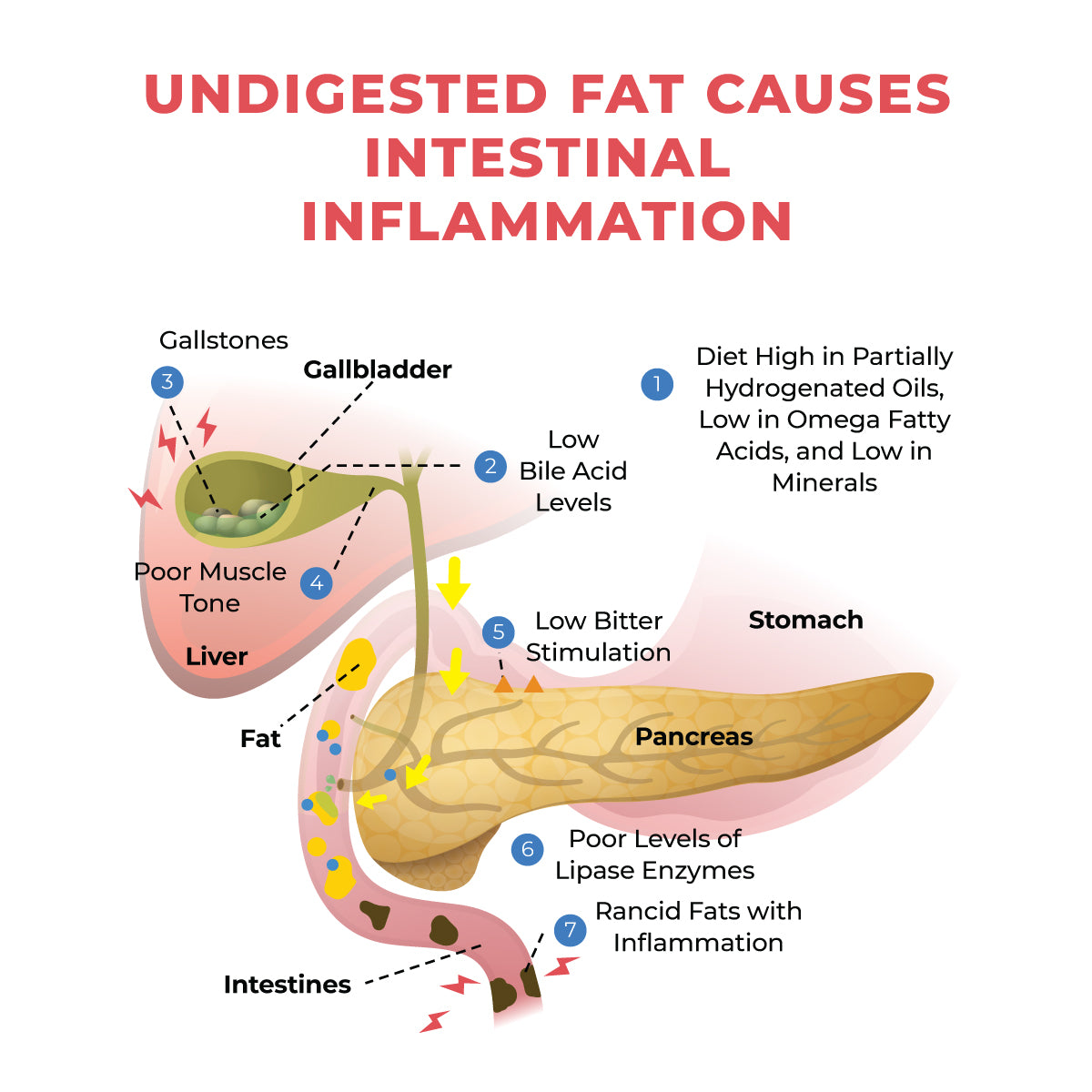 Common problems from undigested fat