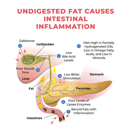 Common problems from undigested fat