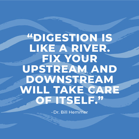 Digestion Quote