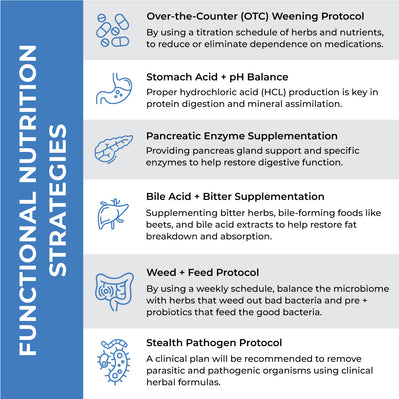 Functional Nutrition Strategies for Digestion