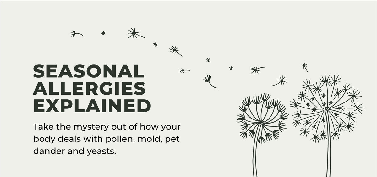 How do seasonal allergies work?