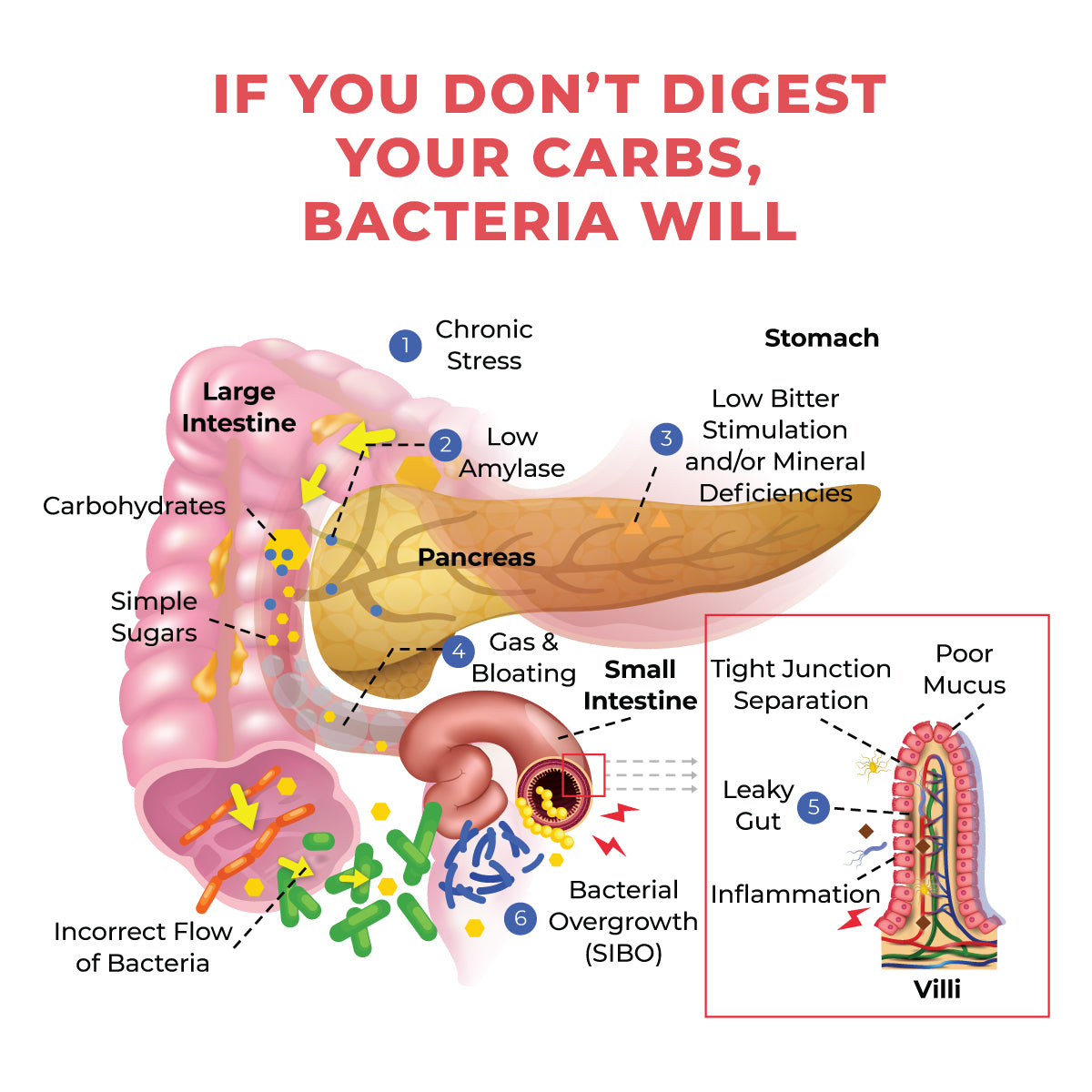 Common problems from undigested fat