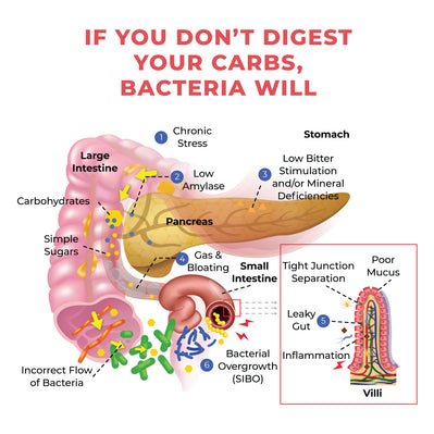 Common problems from undigested fat