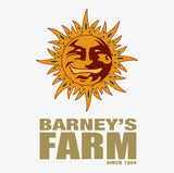 Buy Barneys Farm Cannabis Seeds Manchester