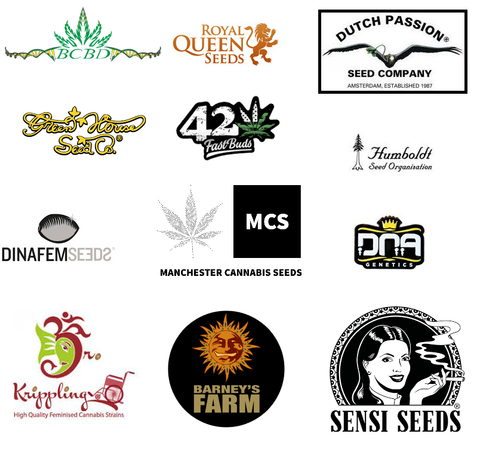 Buy Cannabis Seeds - Manchester Cannabis Seeds