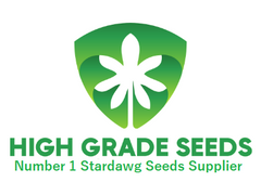 Buy Cannabis Seeds Online UK
