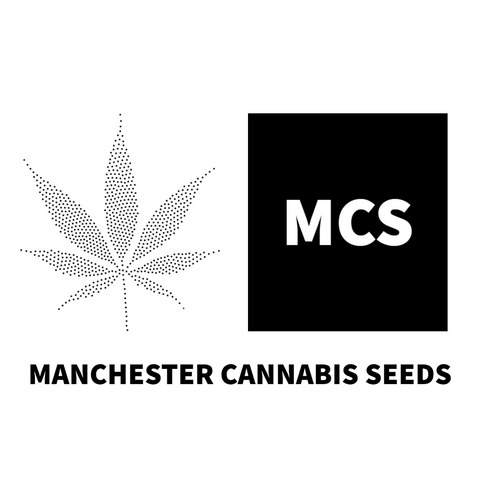 Buy Cannabis Seeds Manchester