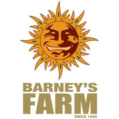 Best Place To Buy Barneys Farm Cannabis Seeds UK