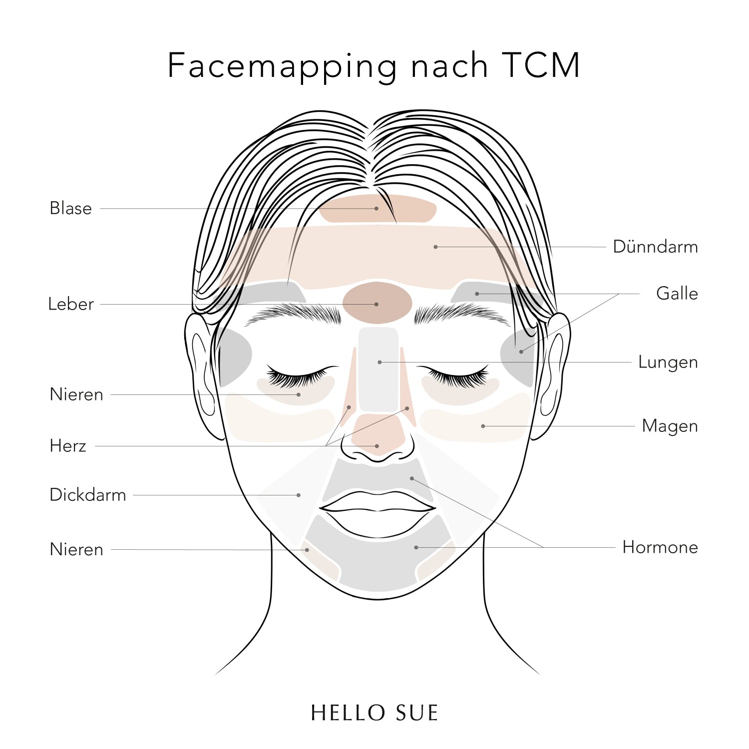 Facemapping nach TCM