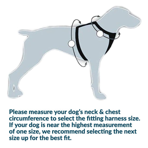  TRUE LOVE Adjustable No-Pull Dog Harness Reflective