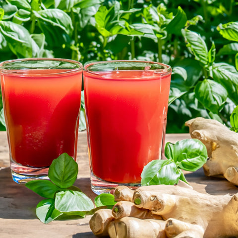 La boisson "Fureur de basilic" prête à l'emploi dans deux verres sur une table en bois, avec des bulbes de gingembre et des feuilles de basilic à côté.