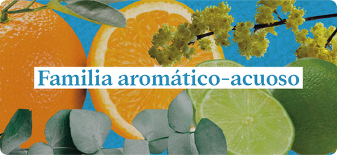 Esencias-nuestros-aromas-familia-aromático-acuoso-limón-litsea-cubeba-eucalipto