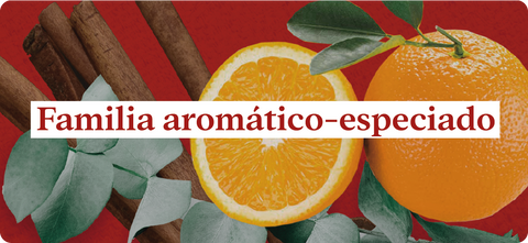 Nada mejor que una esencia aromática en tu humidificador – Aromatyx Mx