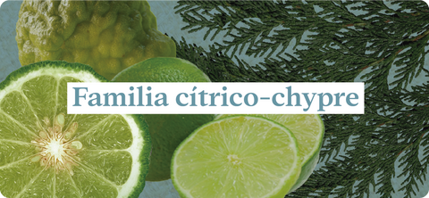 Esencias-nuestros-aromas-familia-cítrico-chypre-bergamota-limón-pino-lavanda