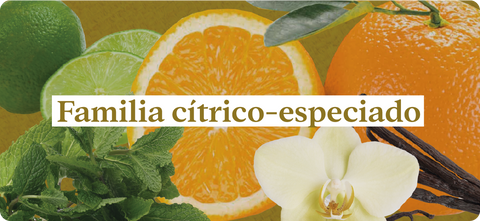 Esencias-nuestros-aromas-familia.cítrico-especiado-naranja-limóm-menta-piperita-vainilla-geranio