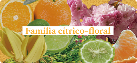 Esencias-nuestros-aromas-familia-cítrico-floral-mandarina-rosas-palo-de-rosa-ylang-ylang-jazmín-geranio-bergamota-limón-vainilla