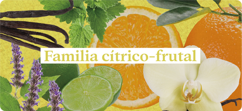 Esencias-nuestros-aromas-familia-cítrico-frutal-vainilla-limón-naranja-jazmín-canela