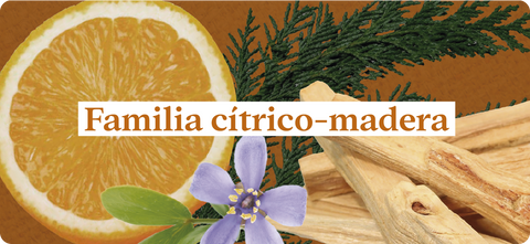 Esencias-nuestros-aromas-familia-cítrico-madera-palo-santo-naranja-almizcle-cedro-sándalo