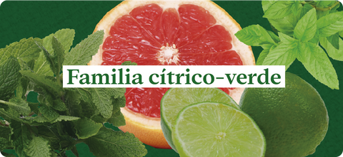 Esencias-nuestros-aromas-familia-cítrico-verde-bergamota-limón-menta-piperita-herbal-musk-geranio
