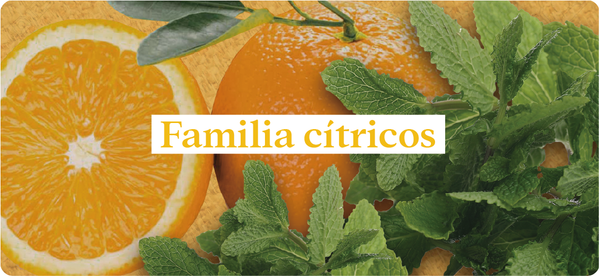 Esencias-nuestros-aromas-familia-cítricos-naranja-menta-mandarina-toronja-madera-geranio