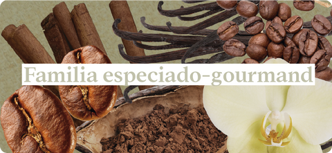 Esencias-nuestros-aromas-familia-especiado-gourmand-café-vainila-canela-cocoa