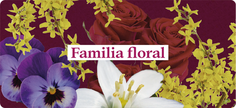 Esencias-nuestros-aromas-familia-floral-jazmín-rosas-musk-eucalipto