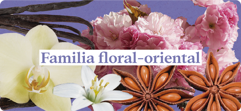 Esencias-nuestros-aromas-familia-floral-oriental-anis-palo-de-rosa-vainilla-jazmín