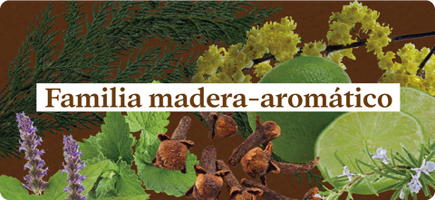 Esencias-nuestros-aromas-famila-madera-aromático-cedro-pachuli-litsea-cubeba-musk-cuero-eucalipto-limón-clavo-romero-sándalo-menta-pino-geranio-rosa