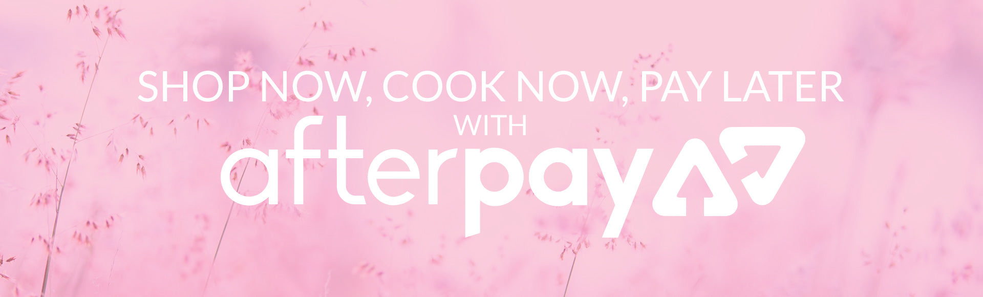 Pay later with Afterpay