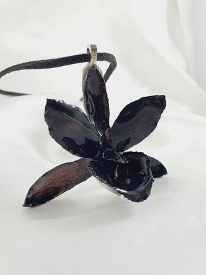 Orquidea Negra – Oma Eterny