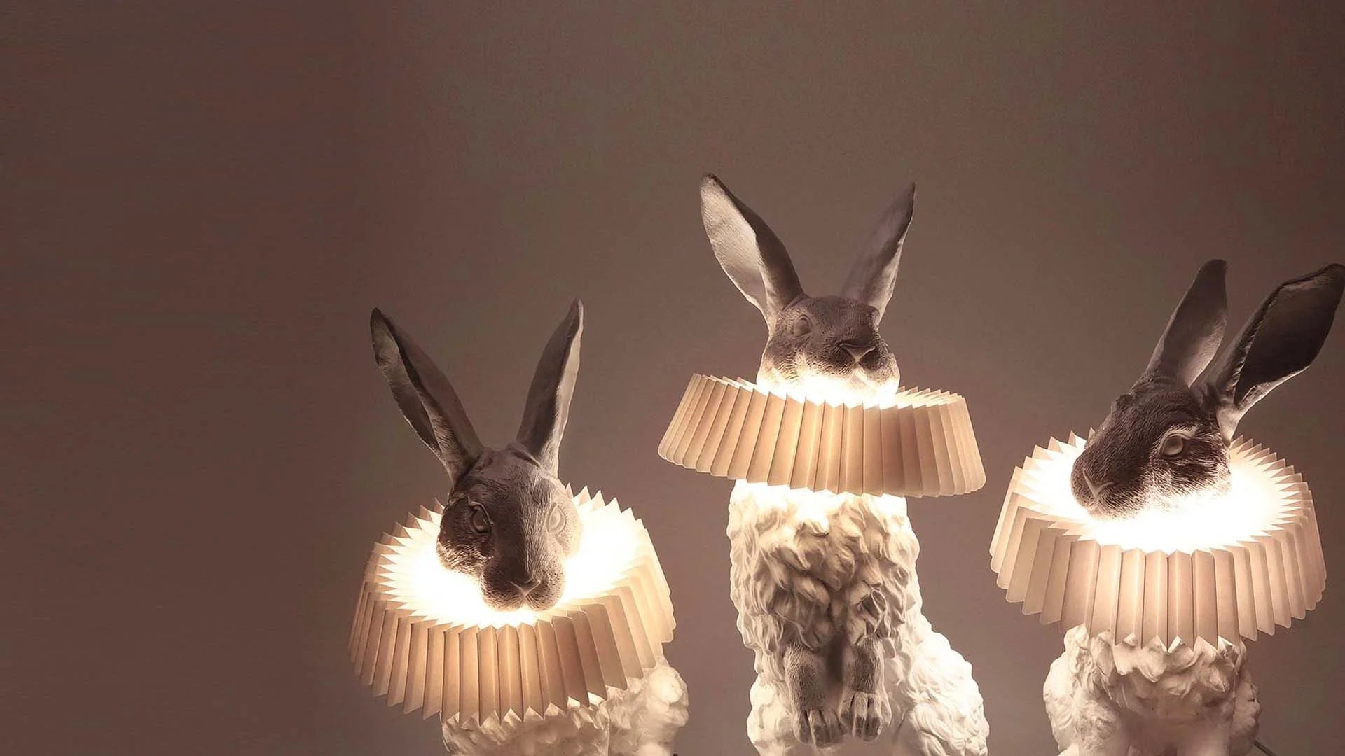 Lighting-2-Rabbits-1920.webp__PID:16491e1c-0e95-46fb-af24-287788a532ee