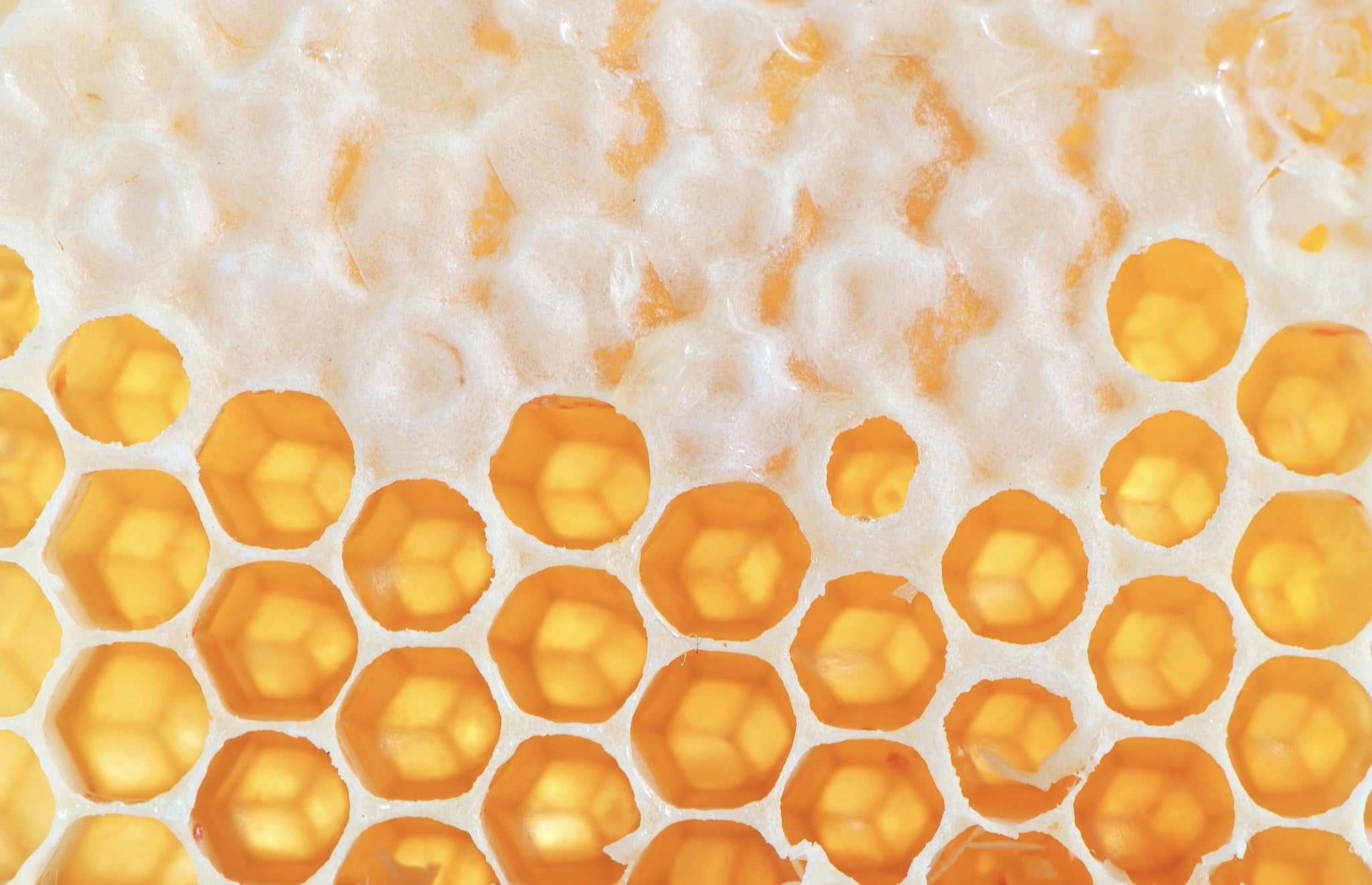 up-close of honeycomb design
