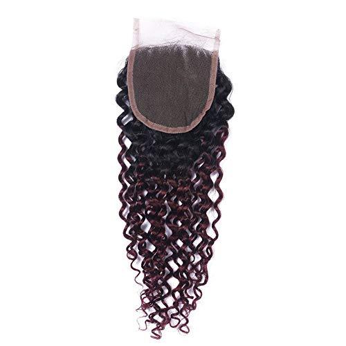 #1B/99J Wine Red Ombre Kinky Curly Brazilian Hair Bundles with Closure Burgundy Ombre Curly Human Hair Weaves 3 Bundles with Lace Closure 4x4 Ombre Dark Wine Hair Extensions (18 20 22 with 18)