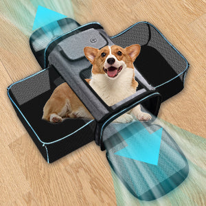 La mejor bolsa de viaje para mascotas en venta: Moebypet
