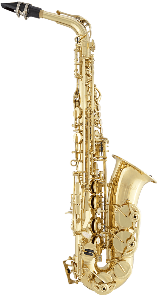 Learn About Instruments - Alto Saxophone