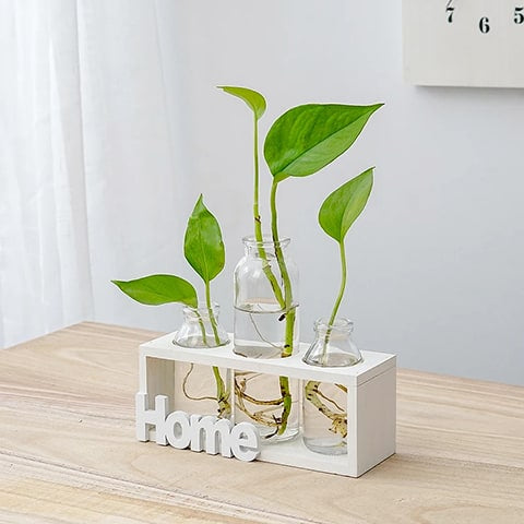 cadre avec soliflores home en bois blanc mise en scène avec plantes