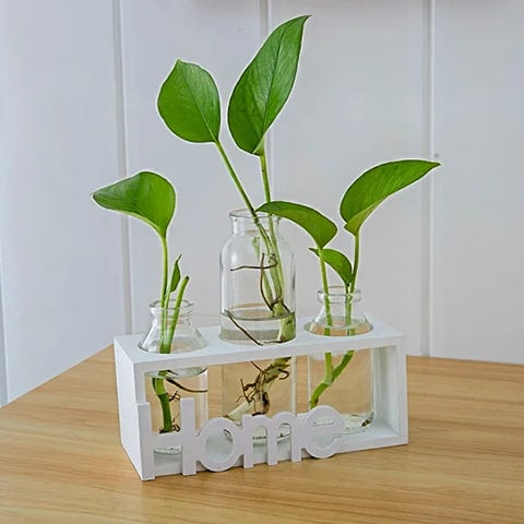 Soliflore avec cadre home en bois blanc mise en scène avec plantes