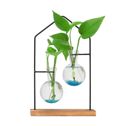 Soliflore boule suspendue encadrement maison en Verre Fer et Bois présentation du modèle Duo avec plantes vertes sur fond blanc