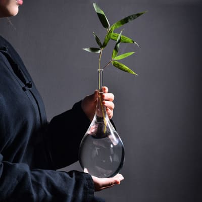 Soliflore style japonais transparent présentation avec plante