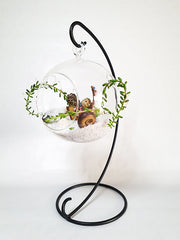 Vase boule suspendu décorer avec sable blanc et coquillages avec plantes vertes
