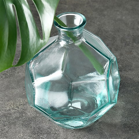 Vase géométrique polygonale transparent en verre modèle rond zoomé avec plantes
