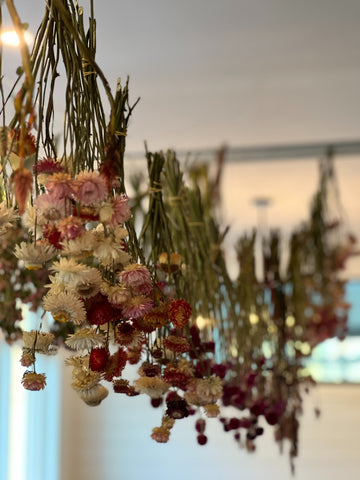 Séchage de fleurs à l'air libre