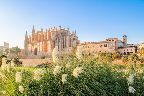 Kathedrale von Palma im Sonnenlicht