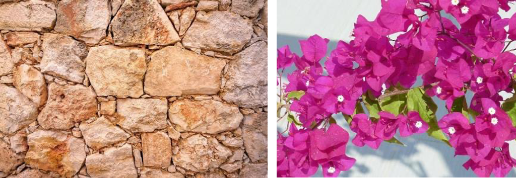 Mallorca Naturstein und Blumen