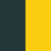 Forest Green/Gold