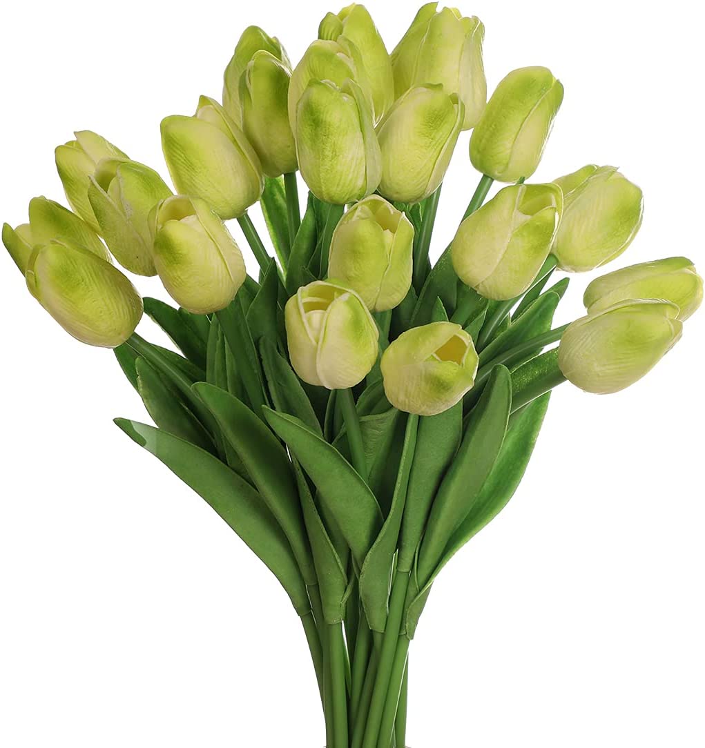 Tulipanes verdes – Armoníal HN