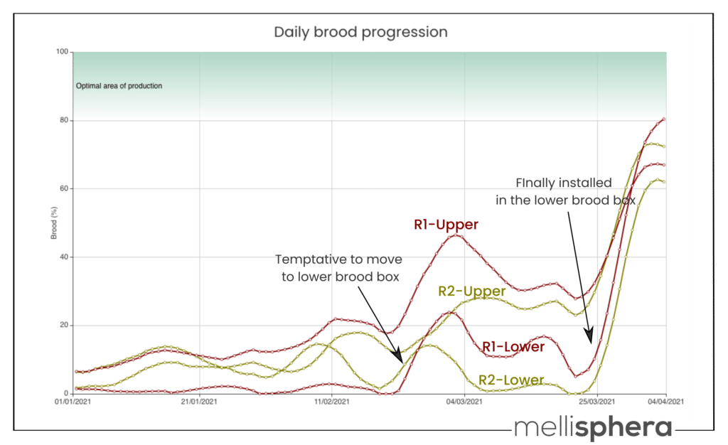 progression du couvain