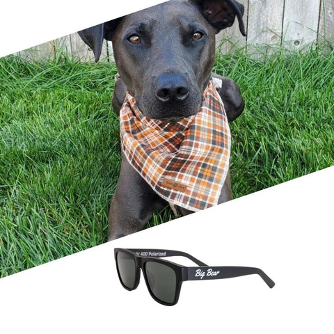 Milo Gray Speckled Acetate Sunglasses