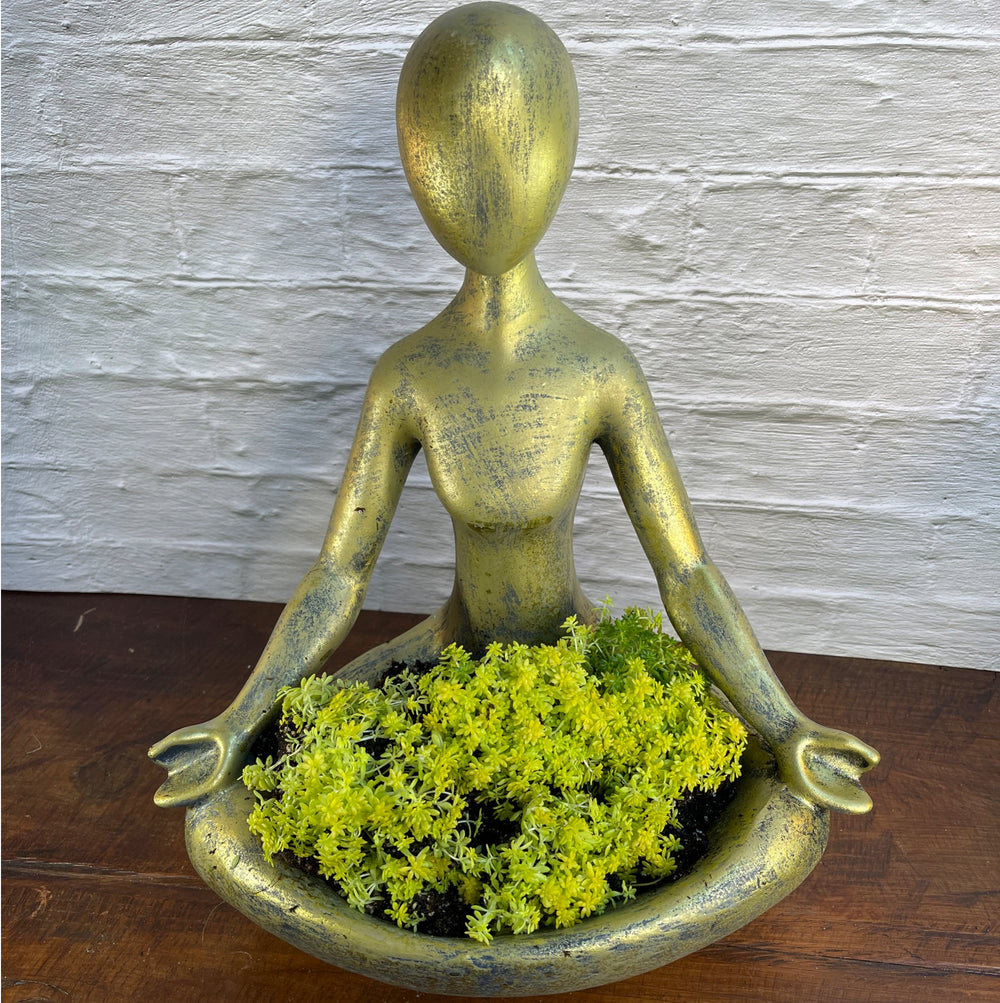 Yoga Meditation Planter Antique Gold – ZestiGreens