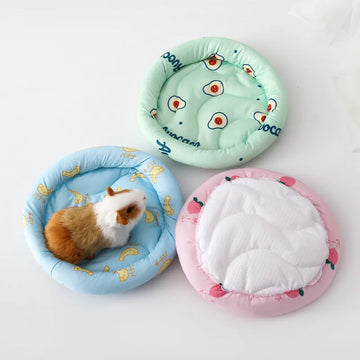 Small Animal Bedding dropshipping Products